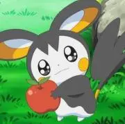 ちゅんの画像