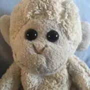もんきちの画像