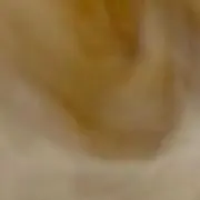 めあの画像