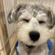 渓心