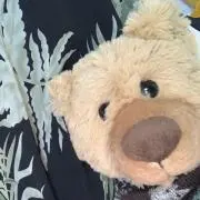 三津の画像