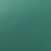カラ
