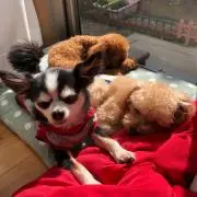 ともちん