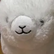 なーさ☆の画像