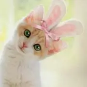 Mっち