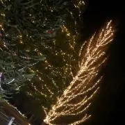 mの画像