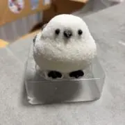 Ai.su.koの画像