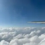 りんごの画像