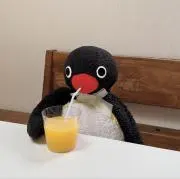 トリの画像
