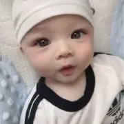 ロビンの画像