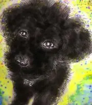 エイトグランパの画像