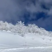 sAwaの画像