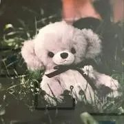 Ｋの画像