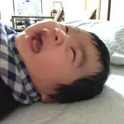 しゅんしゅん