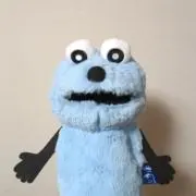 まりもの画像