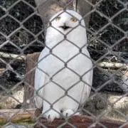 ととの画像