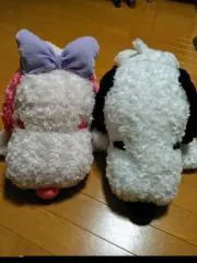 るりちゃ♫の画像