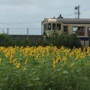 9z3の画像