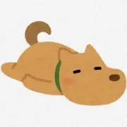 びおら