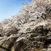 まんまるまるの画像