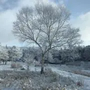 *moriの画像