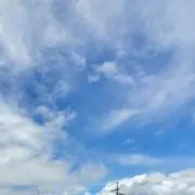 なおの画像