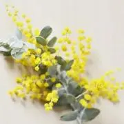Teee★の画像