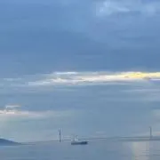 好きな色はオレンジ※次回発送9/29の画像