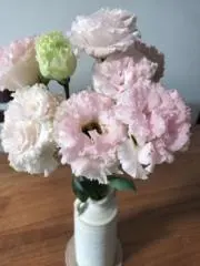 さくの画像
