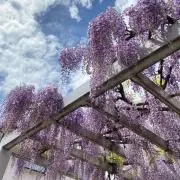 かつみん☆の画像