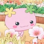 サラの画像
