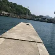 YY19の画像