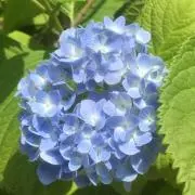 happy.comの画像