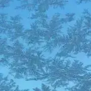 ナノンの画像