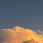 ゆうの画像