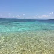 くうの画像