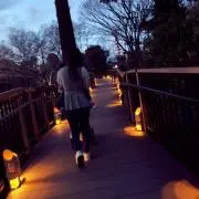 みやびの画像