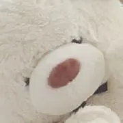 での画像