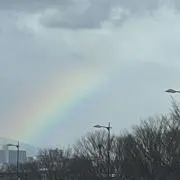 chiiiの画像
