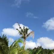 arの画像