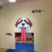 いぬたの画像