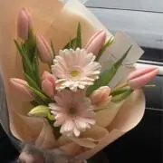 Bの画像