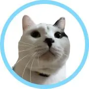 アミの画像