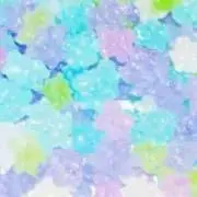 Noaの画像