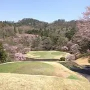ポケモンの画像