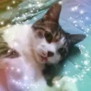 Lennonの画像