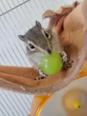 りの画像