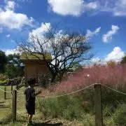ふう
