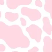 おもちの画像