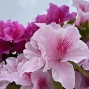 海【プロフ必読】の画像